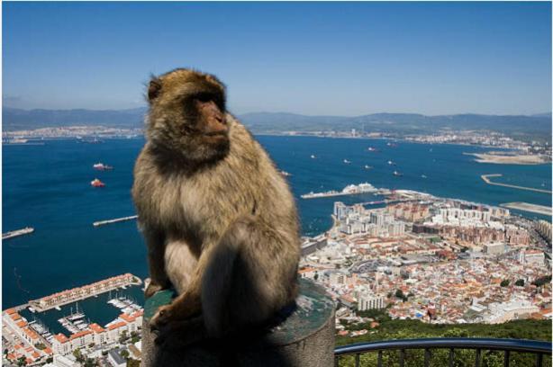 Paseo Maritimo De Cadiz Leilighet Eksteriør bilde